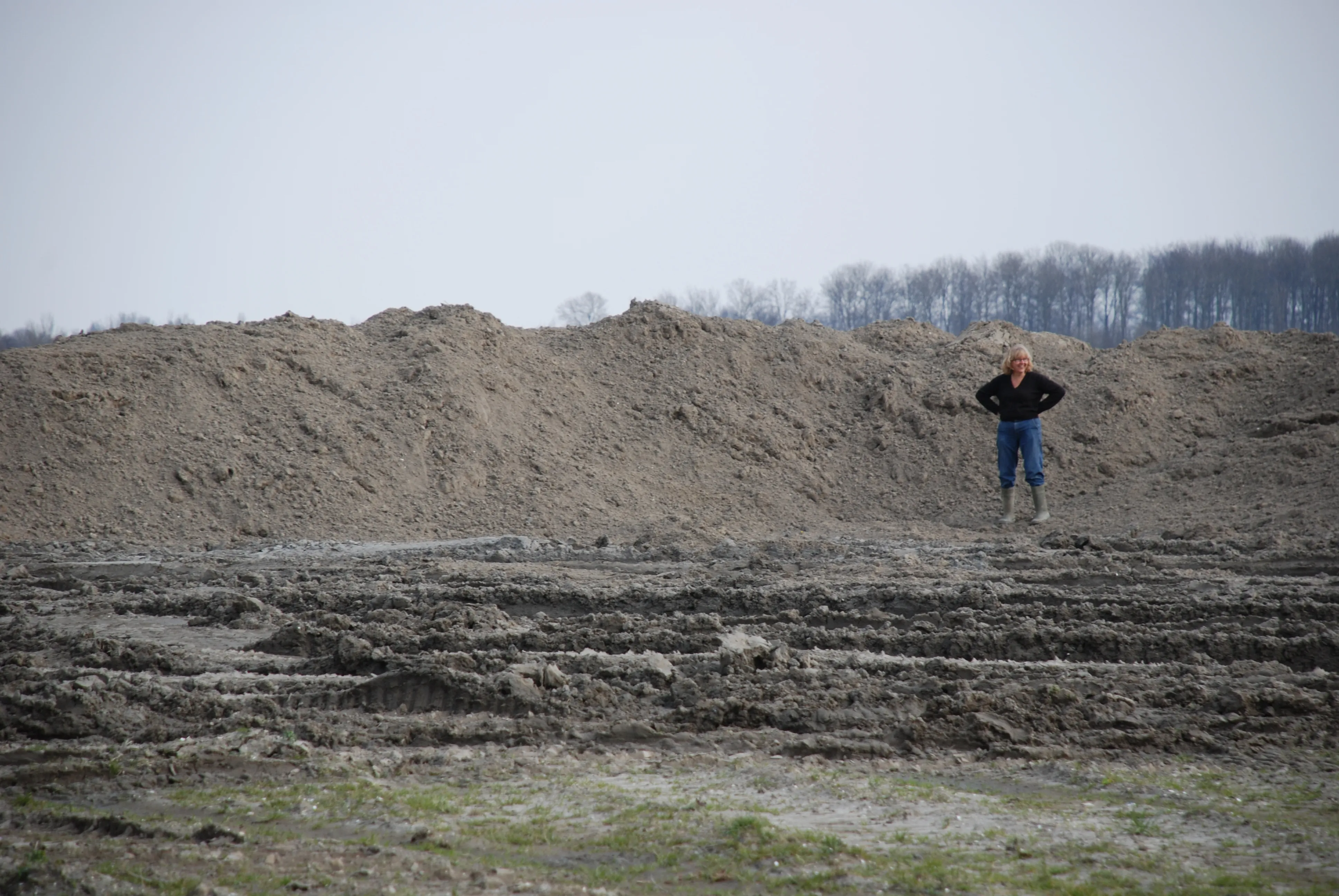 A description of my image.